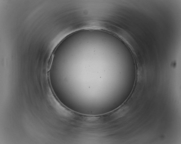 X0000111831484200907301308