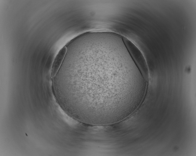 X0000111831485200907301308