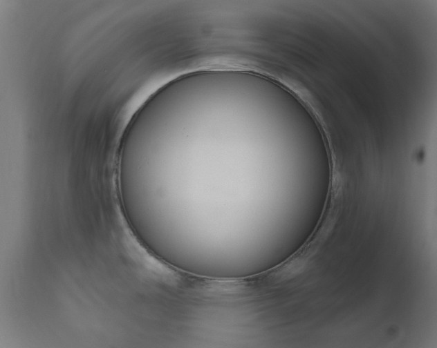 X0000111831486200907301308