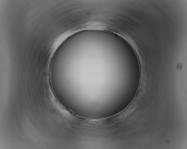 X0000111831488200907301308