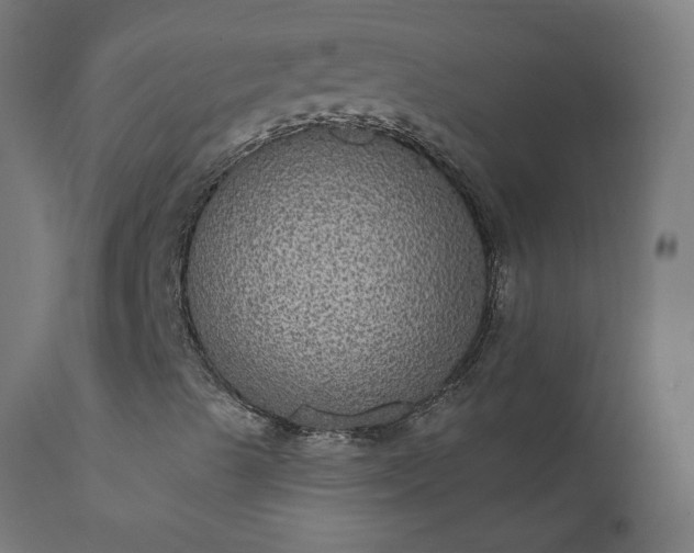 X0000111831489200907301307