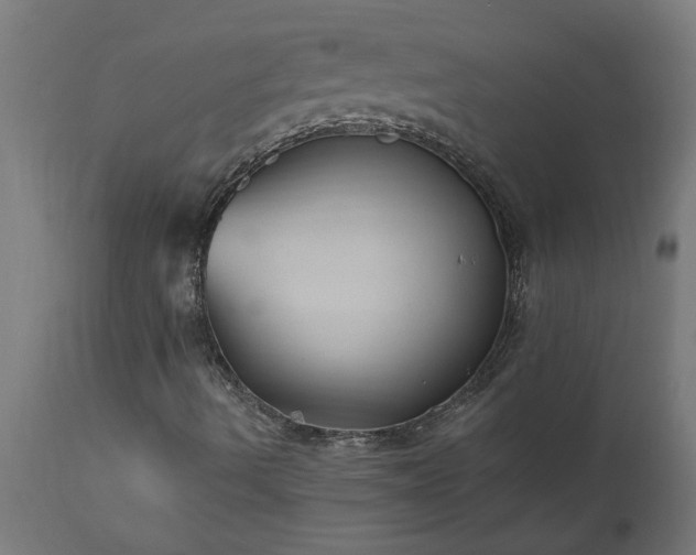 X0000111831490200907301307