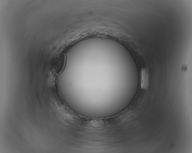 X0000111831491200907301307