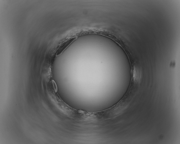 X0000111831492200907301307