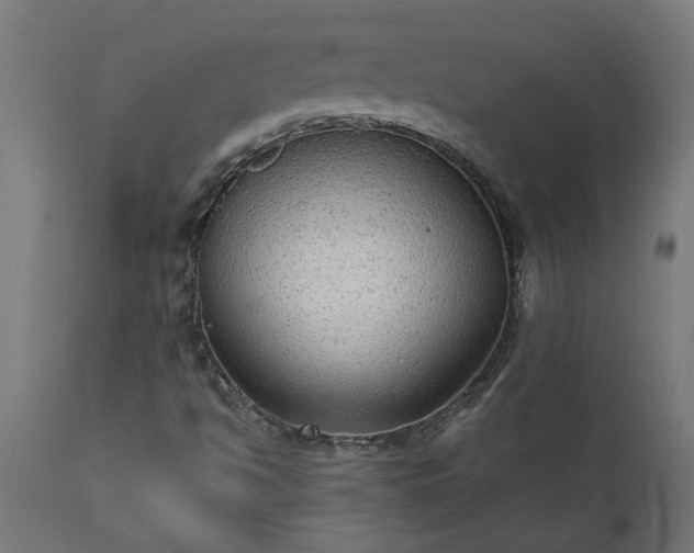 X0000111831494200907301307
