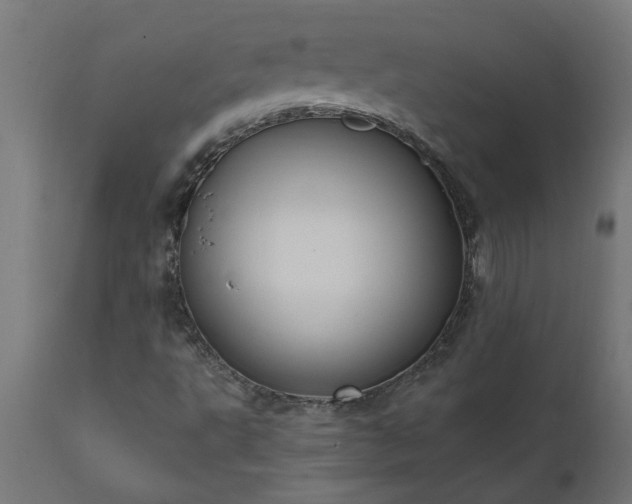 X0000111831495200907301307