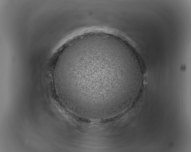 X0000111831496200907301307
