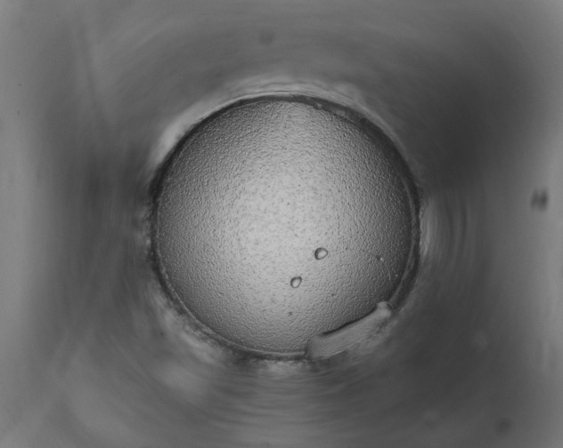 X0000111831501200907301307