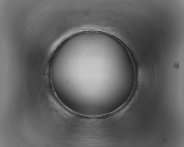 X0000111831502200907301308