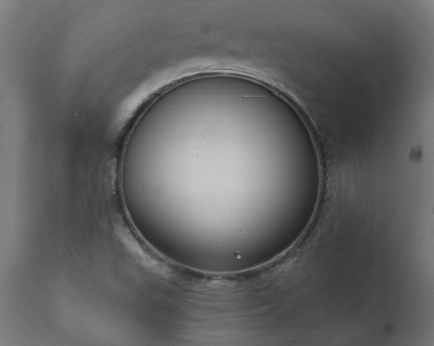 X0000111831503200907301308