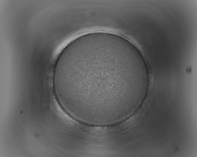 X0000111831504200907301308