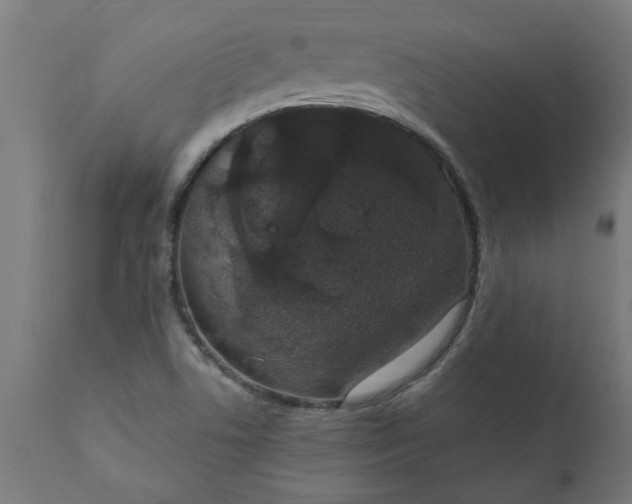 X0000111831506200907301308