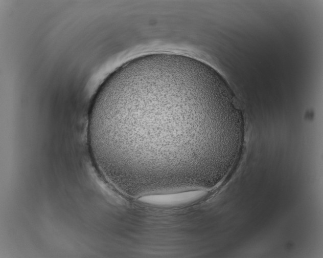 X0000111831507200907301308