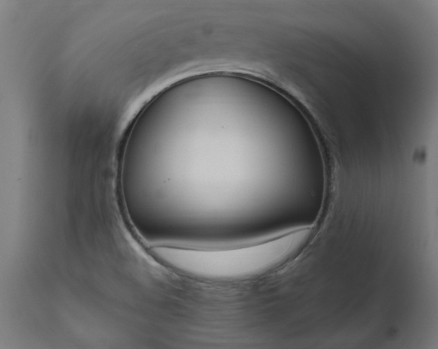 X0000111831508200907301308