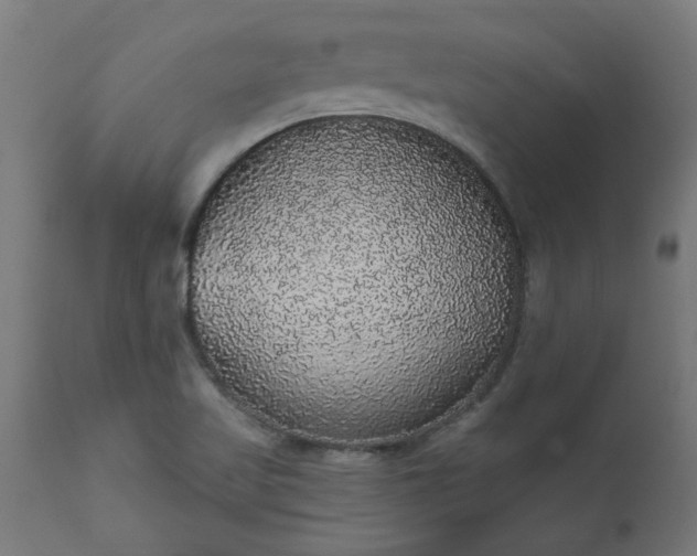 X0000111831509200907301308