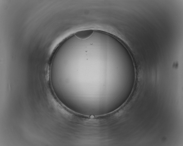 X0000111831510200907301308