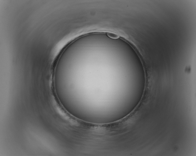 X0000111831511200907301308