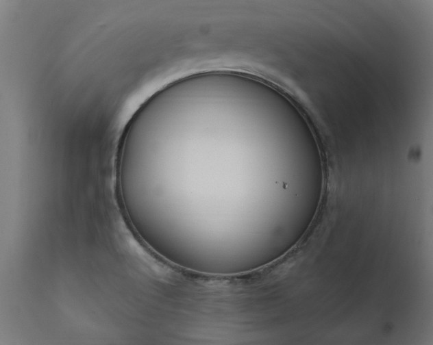 X0000111831512200907301308