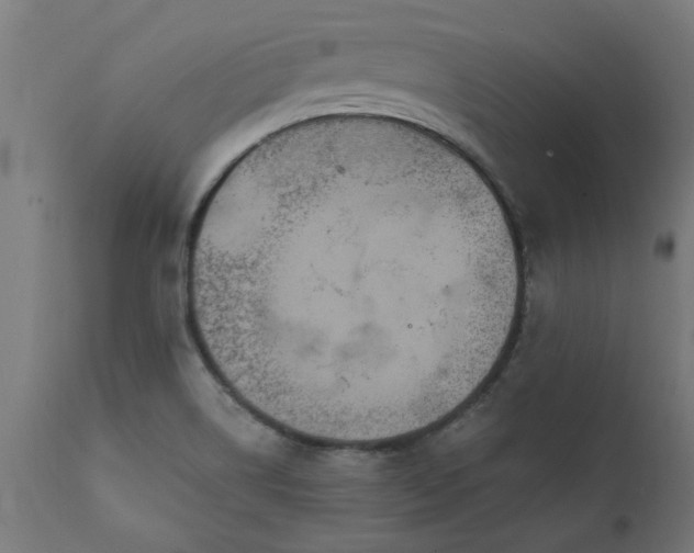X0000111831514200907301308