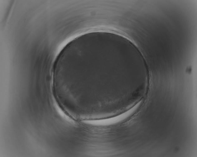 X0000111831515200907301308
