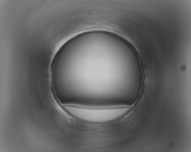 X0000111831516200907301308