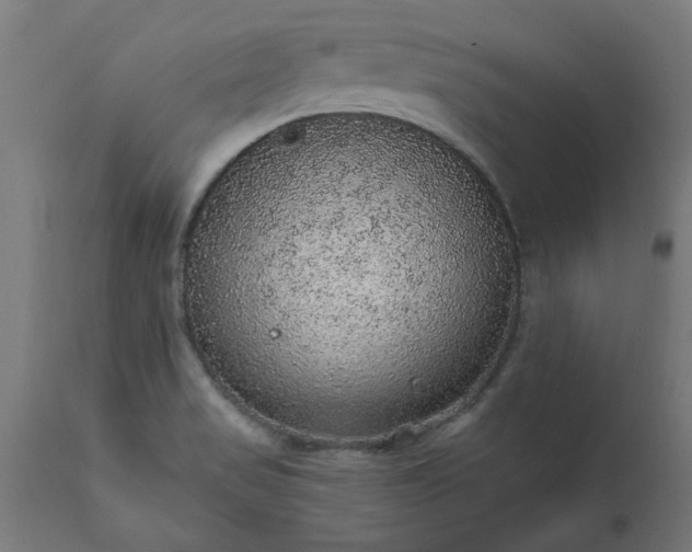 X0000111831517200907301308