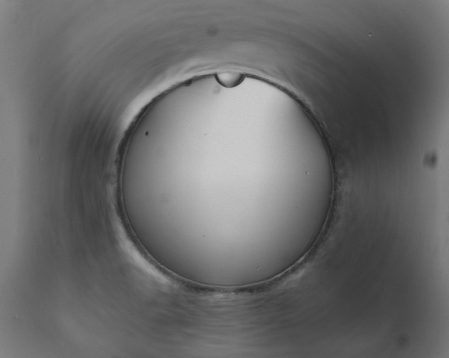 X0000111831518200907301308