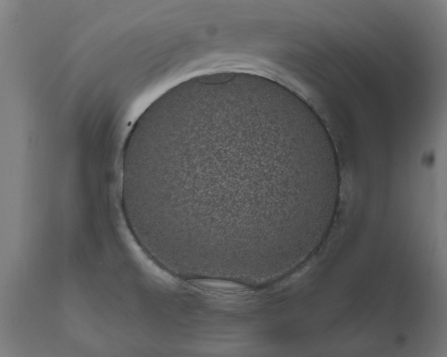 X0000111831520200907301308
