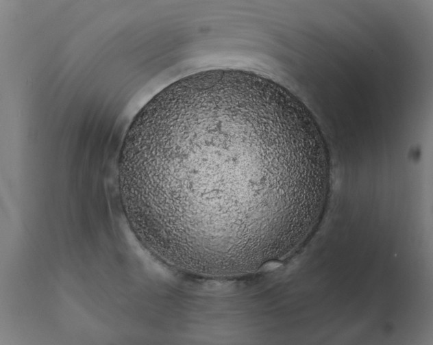 X0000111831521200907301308