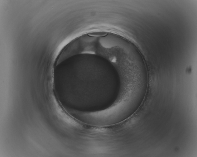 X0000111831522200907301308