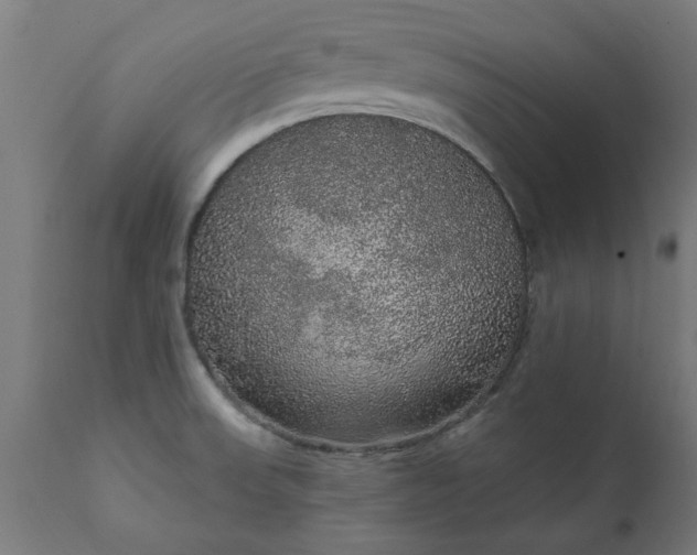 X0000111831523200907301308