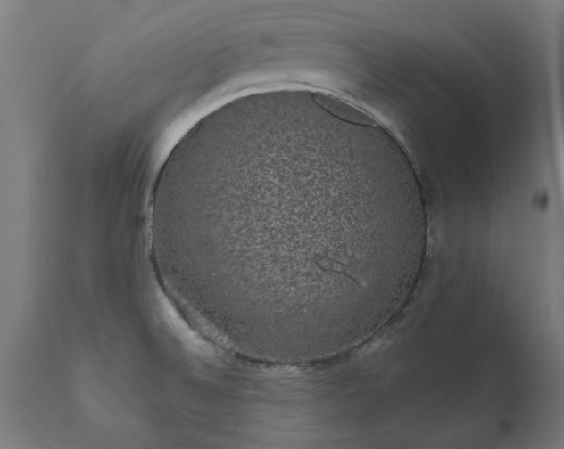 X0000111831524200907301308