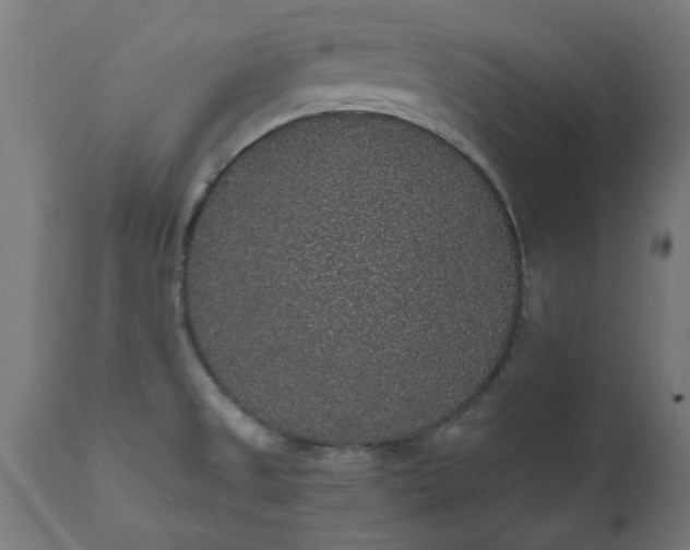 X0000111831525200907301308