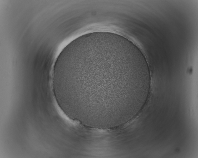 X0000111831528200907301308
