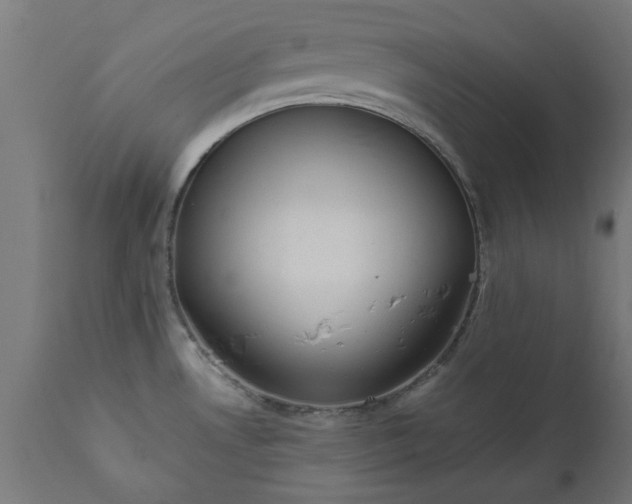 X0000111831530200907301308