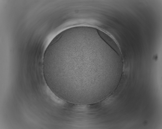 X0000111831532200907301308