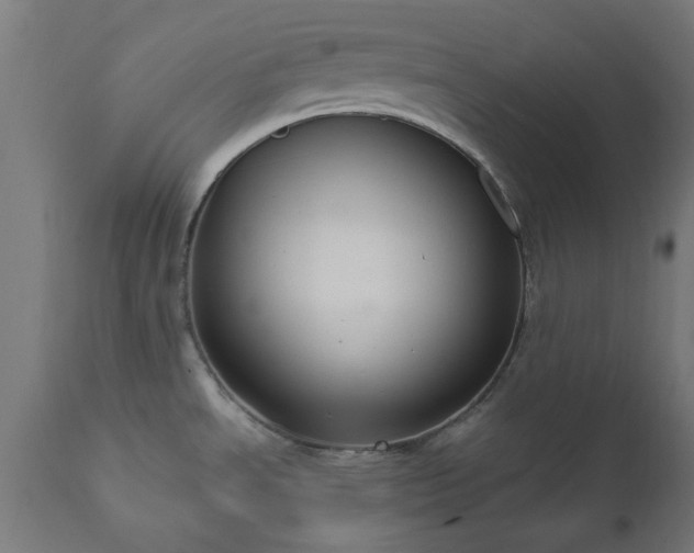 X0000111831534200907301308