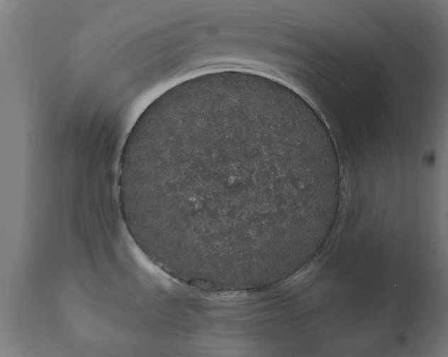 X0000111831535200907301308