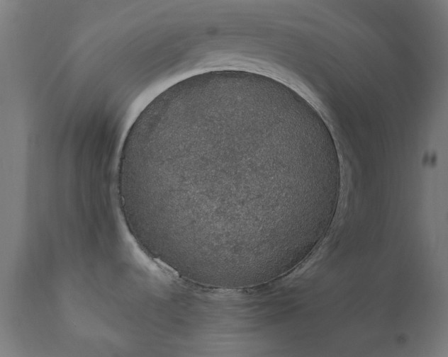 X0000111831536200907301308