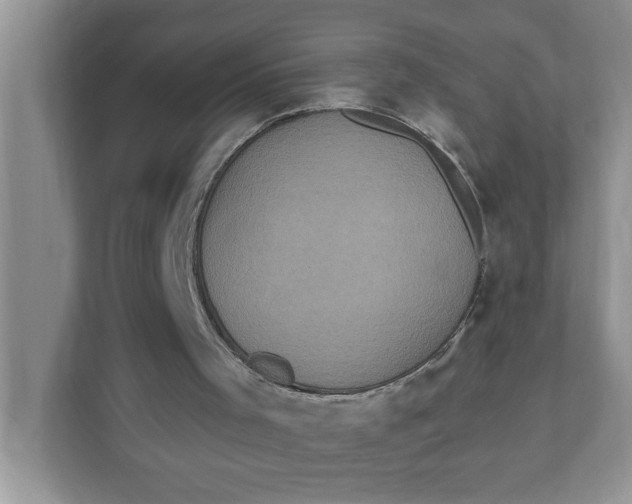 X0000111830001200908061205