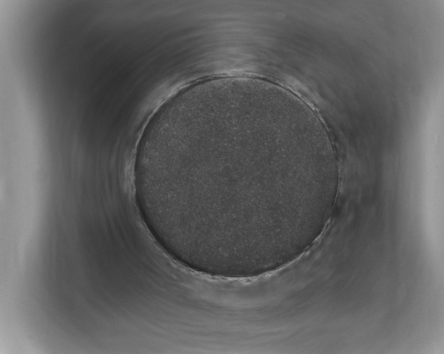 X0000111830002200908061205