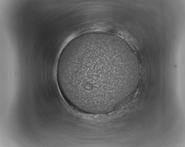 X0000111830003200908061205