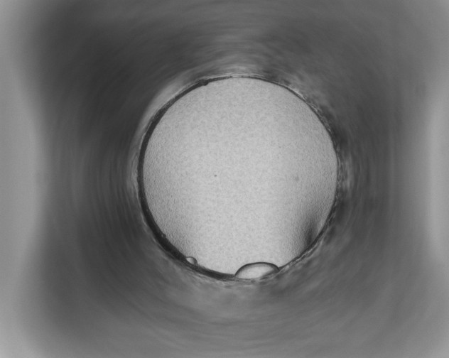 X0000111830004200908061205