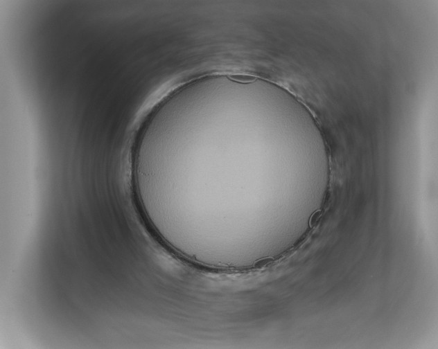 X0000111830005200908061205