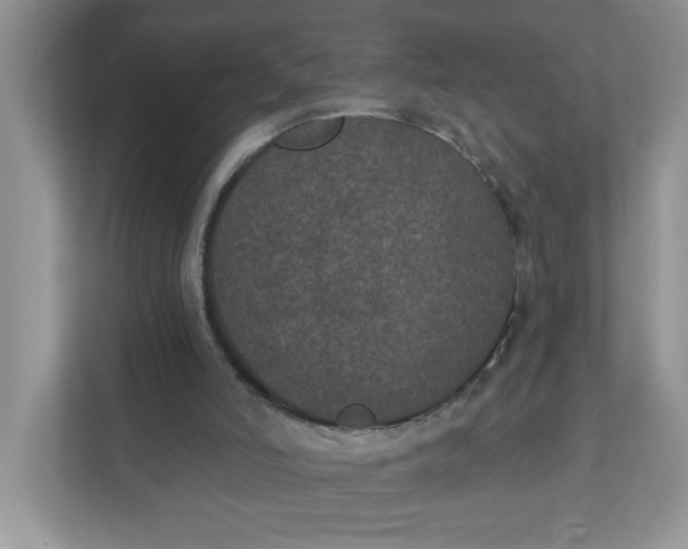 X0000111830006200908061205