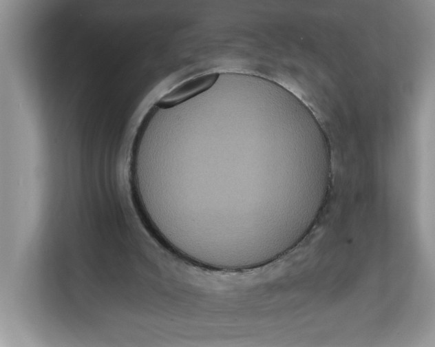 X0000111830007200908061205