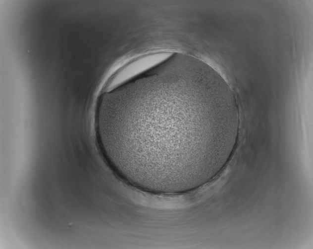 X0000111830008200908061205