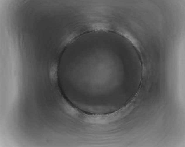 X0000111830009200908061205