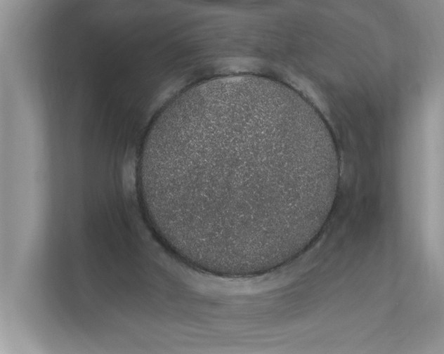 X0000111830010200908061205