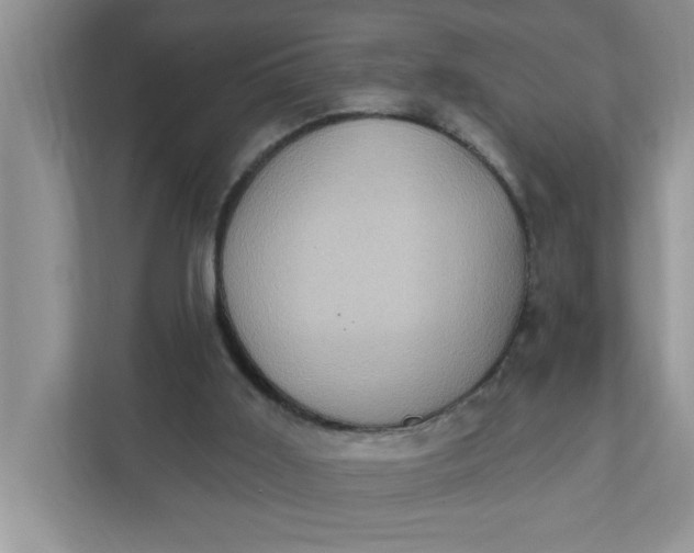 X0000111830011200908061205